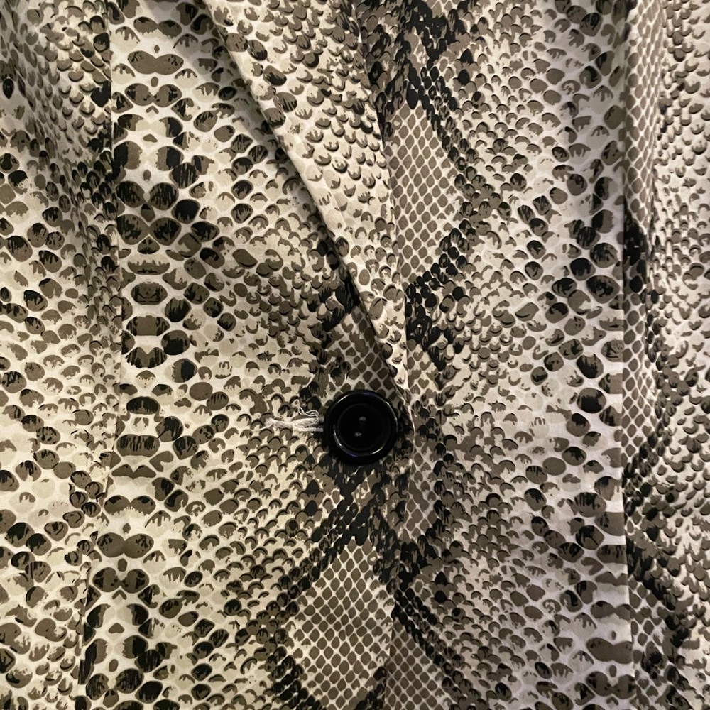 Dots - Picture 3 of 6